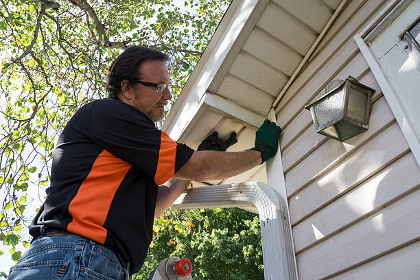 Best Shed Removal  in Arlington, TX